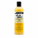 Aunt Jackie's Moisturizing and Softening Shampoo 355ml